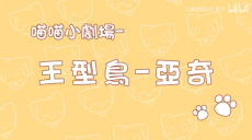 Miao Miao Xiao Juchang
