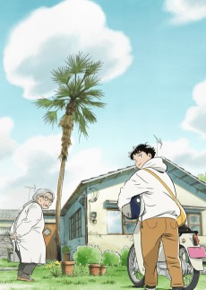 Hirayasumi