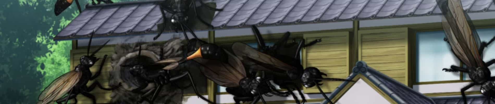 The Island of Giant Insects Movie
