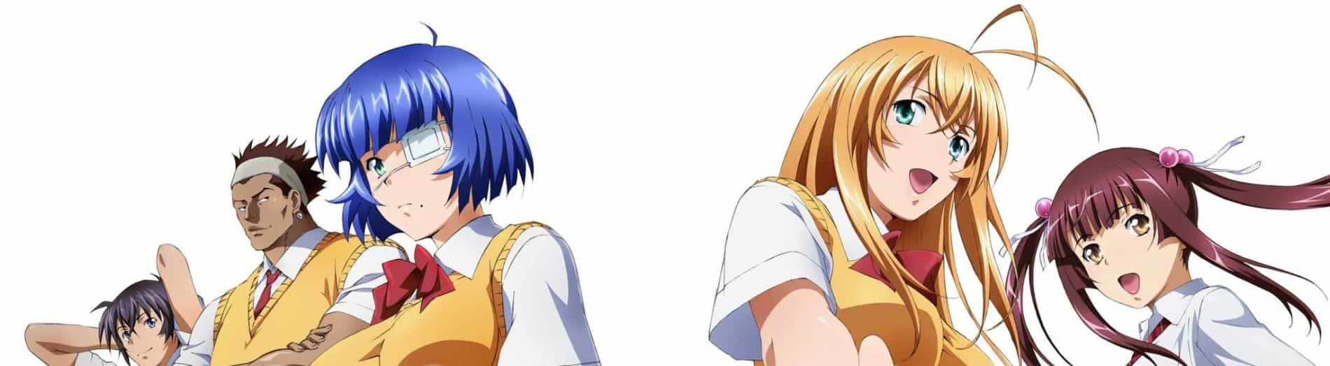 Shin Ikki Tousen